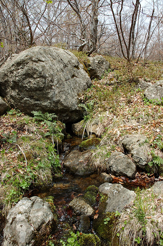 Segadelli springs and aquifers